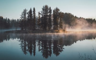 Diez curiosidades sobre el agua que te sorprenderán